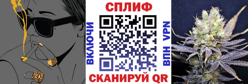 Каннабис сатива  где купить   блэк спрут как зайти  Облучье 